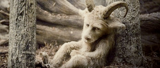Illustration for article titled Where The Wild Things Are Gallery